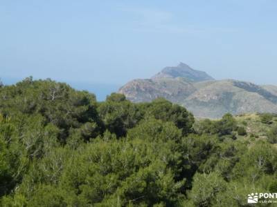 Parque Calblanque-Murcia; puente de san isidro viajes octubre rutas senderismo cercedilla nacimiento